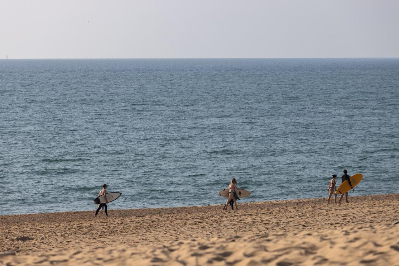 Village Vacances La Foret Des Landes Tarnos Exteriér fotografie