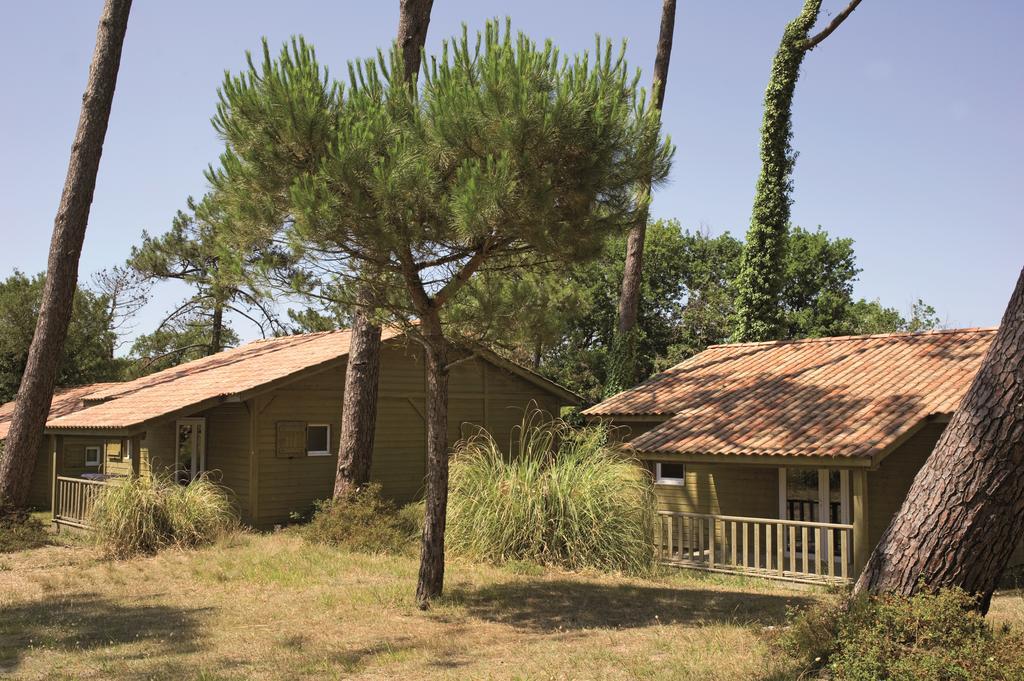 Village Vacances La Foret Des Landes Tarnos Exteriér fotografie